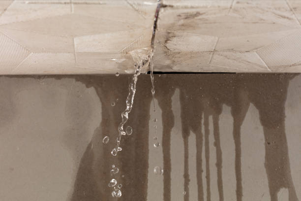 Professional Water Extraction technician working in Mount Blanchard, OH